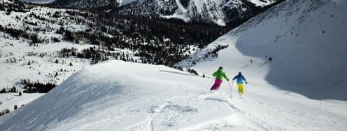 Gleich drei Skigebiete befinden sich in der Region