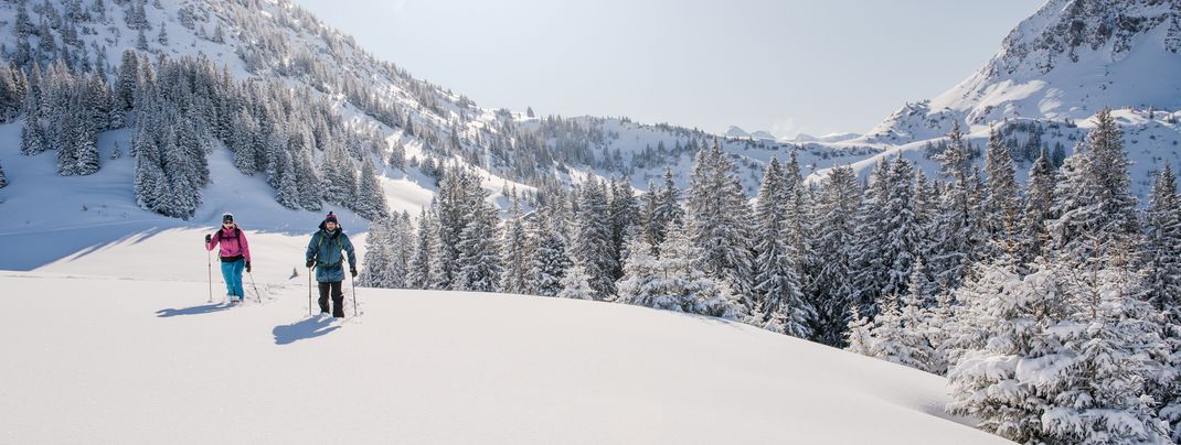Entdecke beim Schneeschuhwandern unberührte Pfade durch die verschneite Winterlandschaft.