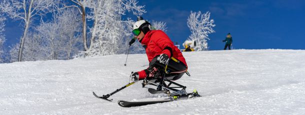 Information about the ski resort Whitetail Mountain Resort