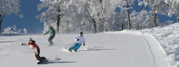 Ein wahres Schneeparadies! Eines der schönsten und expansivsten Wintersportgebiete Japans.