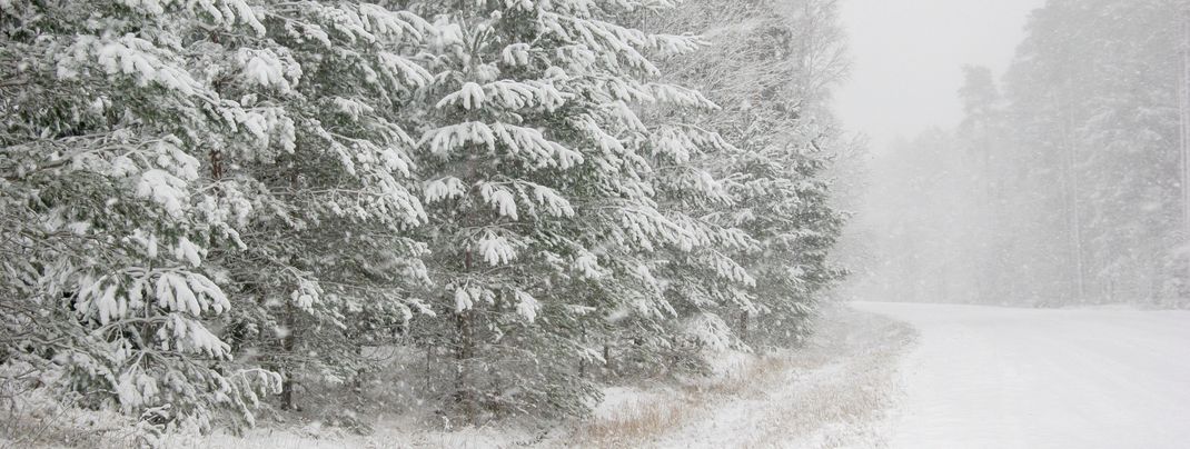 Rund um den 1. April wird es tiefwinterlich in Mitteleuropa.