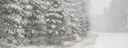 Rund um den 1. April wird es tiefwinterlich in Mitteleuropa.