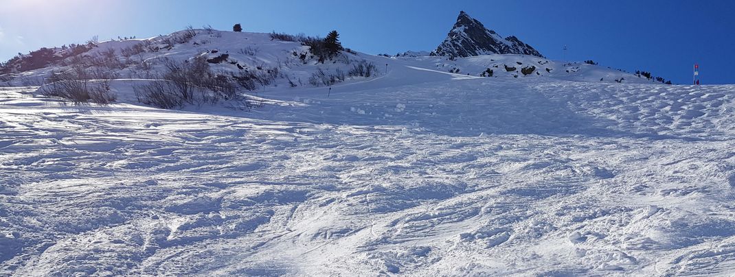 An example of a relatively easy mogul run.