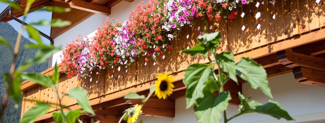 Detaillierte Infos zur Unterkunft Hölzlhof - Urlaub auf dem Bauernhof