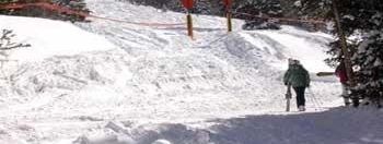 Detaillierte Infos zum Skiurlaub im Skigebiet Snowbird