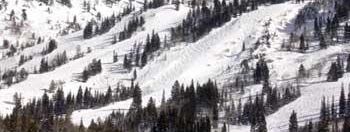 Detaillierte Infos zum Skiurlaub im Skigebiet Snowbird