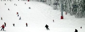 Testbericht Arber zur Kategorie Anfänger