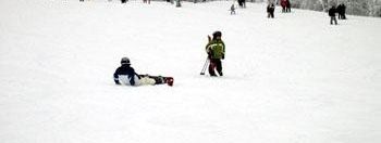 Testbericht Arber zur Kategorie Familien