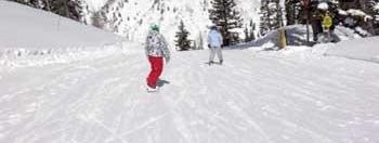 Testbericht Snowbird zur Kategorie Anfänger