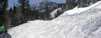 Testbericht Snowbird zur Kategorie Anfänger