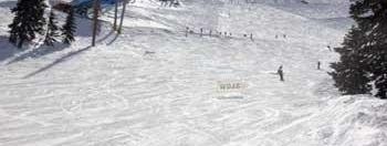 Testbericht Snowbird zur Kategorie Anfänger