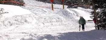 Testbericht Snowbird zur Kategorie Anfänger