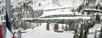 Testbericht Snowbird zur Kategorie Anfänger