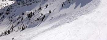 Testbericht Snowbird zur Kategorie Après Ski