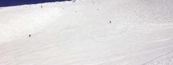 Testbericht Snowbird zur Kategorie Après Ski