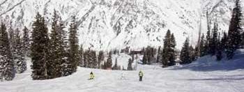 Testbericht Snowbird zur Kategorie Familien