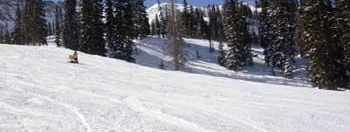 Testbericht Snowbird zur Kategorie Familien