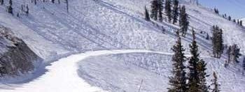 Testbericht Snowbird zur Kategorie Familien