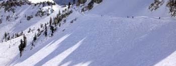 Testbericht Snowbird zur Kategorie Freeride