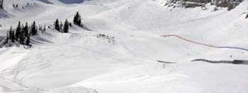 Testbericht Snowbird zur Kategorie Freeride