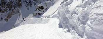 Testbericht Snowbird zur Kategorie Freeride