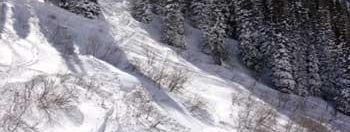 Testbericht Snowbird zur Kategorie Freestyle