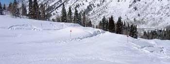 Testbericht Snowbird zur Kategorie Freestyle