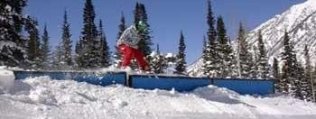 Testbericht Snowbird zur Kategorie Freestyle