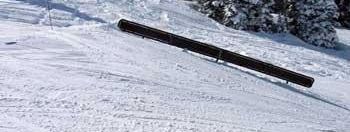 Testbericht Snowbird zur Kategorie Freestyle