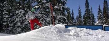 Testbericht Snowbird zur Kategorie Freestyle