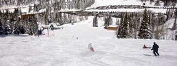 Testbericht Snowbird zur Kategorie Gesamt