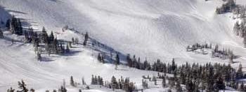 Testbericht Snowbird zur Kategorie Gesamt