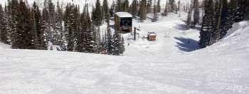 Testbericht Snowbird zur Kategorie Gesamt