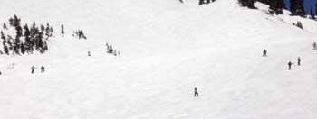 Testbericht Snowbird zur Kategorie Gesamt