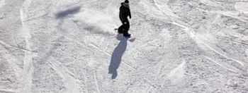 Testbericht Snowbird zur Kategorie Könner