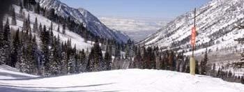 Testbericht Snowbird zur Kategorie Könner