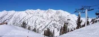 Testbericht Snowbird zur Kategorie Könner