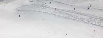 Testbericht Snowbird zur Kategorie Könner