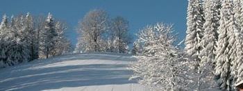 Drei Abfahrten stehen dir hier zur Verfügung.