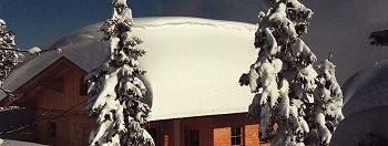 Detaillierte Infos zur Unterkunft Alpen-Chalet-Hochzillertal