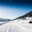 Traumhafte Winterlandschaft