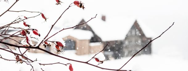 Detaillierte Infos zur Unterkunft HOLZGAUER HAUS