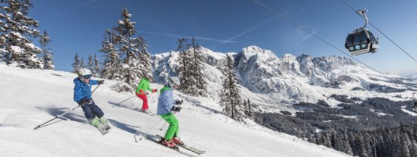 Information about the ski resort Hochkönig