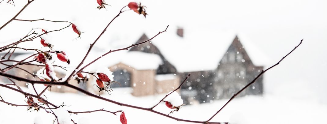 General information about your stay at Holzgauerhaus