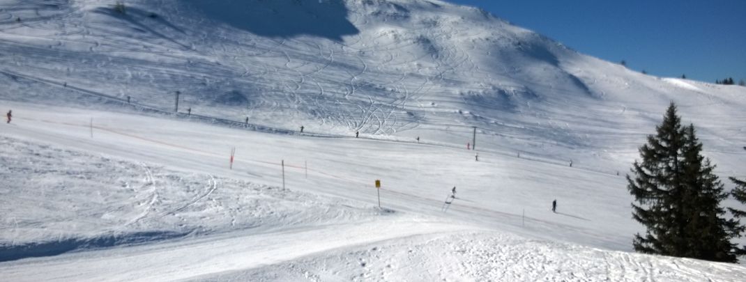 Das weitläufige Areal lockt Wintersportler!