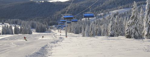 Neben 31 Schleppliften gibt es auch 5 Sesselbahnen und eine Gondel im Liftverbund Feldberg.