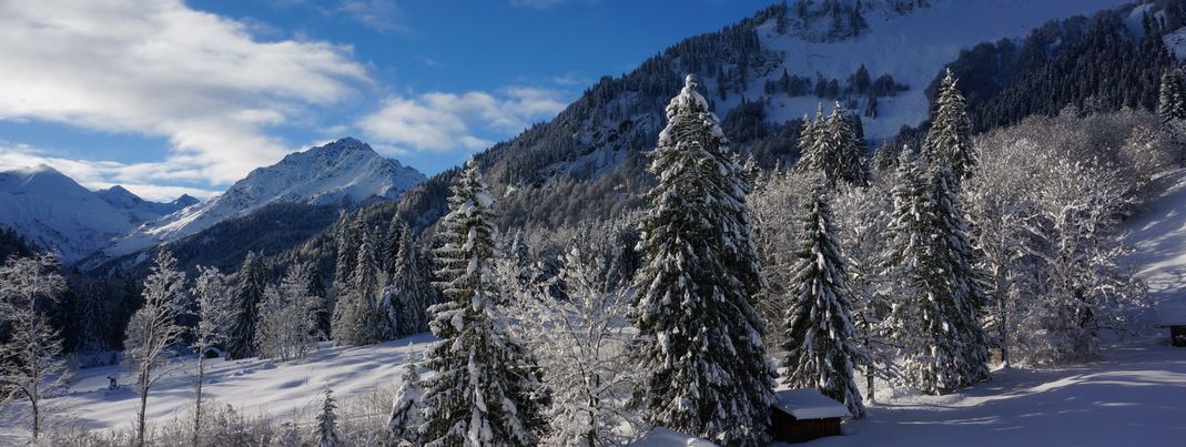 General information about your stay at Hotel Alpengasthof Schwand