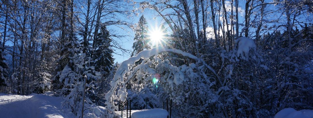 General information about your stay at Hotel Alpengasthof Schwand