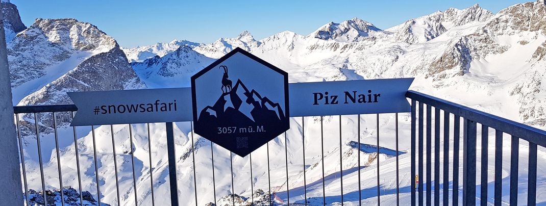 Review about St Moritz Corviglia - Category: Conclusion