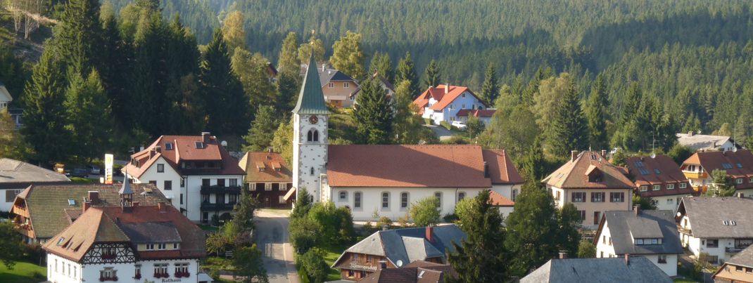 Detaillierte Infos zur Unterkunft Landhotel Sonneck